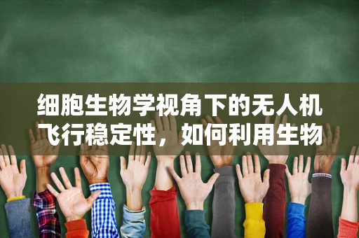 细胞生物学视角下的无人机飞行稳定性，如何利用生物启发的机制提升飞行性能？