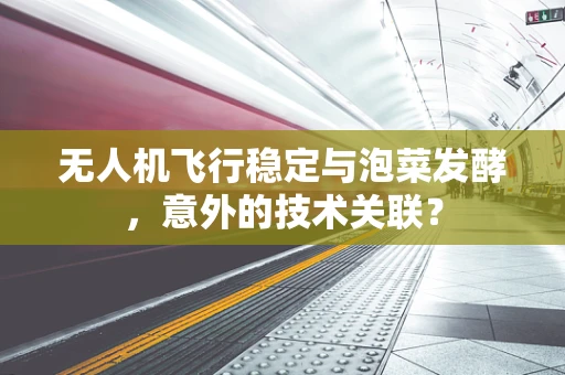 无人机飞行稳定与泡菜发酵，意外的技术关联？