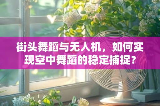 街头舞蹈与无人机，如何实现空中舞蹈的稳定捕捉？