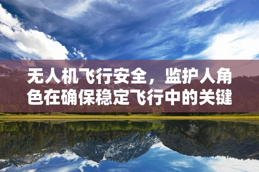无人机飞行安全，监护人角色在确保稳定飞行中的关键作用