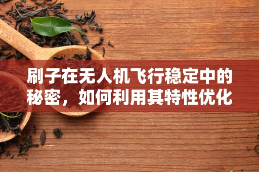 刷子在无人机飞行稳定中的秘密，如何利用其特性优化飞行控制？
