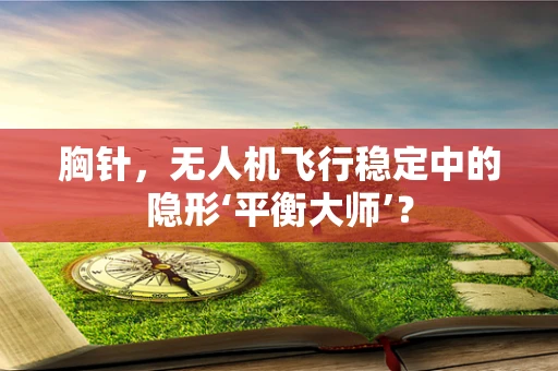 胸针，无人机飞行稳定中的隐形‘平衡大师’？