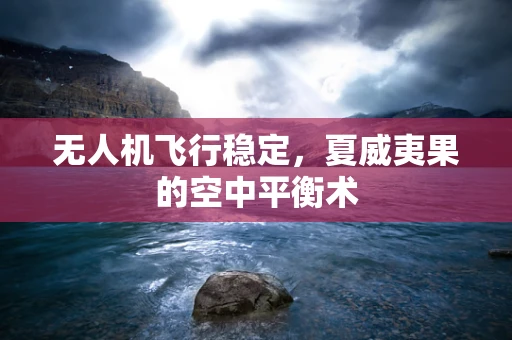 无人机飞行稳定，夏威夷果的空中平衡术