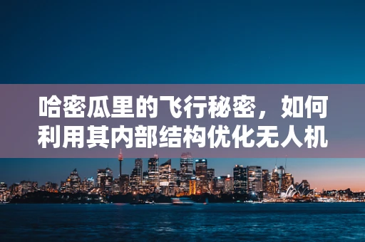 哈密瓜里的飞行秘密，如何利用其内部结构优化无人机飞行稳定性？
