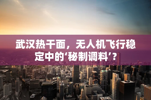 武汉热干面，无人机飞行稳定中的‘秘制调料’？