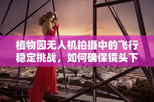 植物园无人机拍摄中的飞行稳定挑战，如何确保镜头下的绿意盎然？
