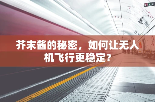 芥末酱的秘密，如何让无人机飞行更稳定？