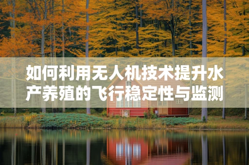 如何利用无人机技术提升水产养殖的飞行稳定性与监测精度？