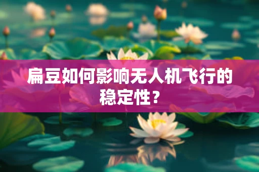 扁豆如何影响无人机飞行的稳定性？