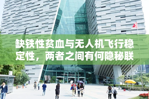 缺铁性贫血与无人机飞行稳定性，两者之间有何隐秘联系？