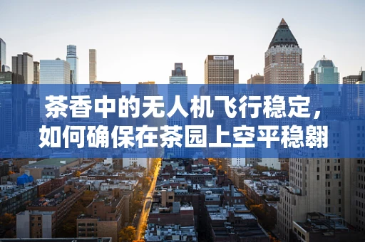 茶香中的无人机飞行稳定，如何确保在茶园上空平稳翱翔？