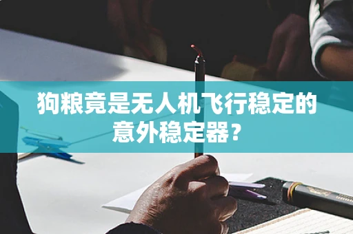 狗粮竟是无人机飞行稳定的意外稳定器？