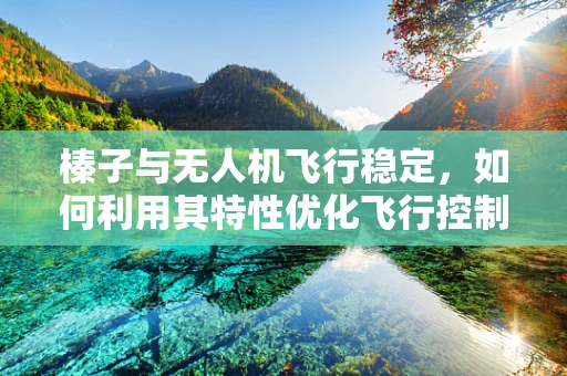 榛子与无人机飞行稳定，如何利用其特性优化飞行控制算法？