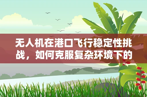 无人机在港口飞行稳定性挑战，如何克服复杂环境下的挑战？