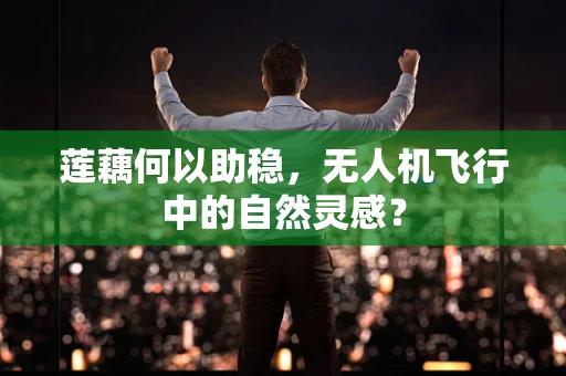莲藕何以助稳，无人机飞行中的自然灵感？