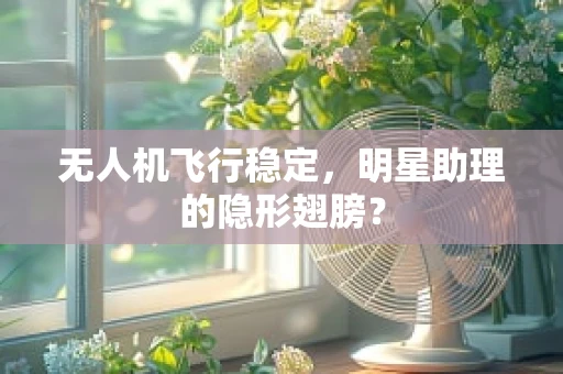 无人机飞行稳定，明星助理的隐形翅膀？