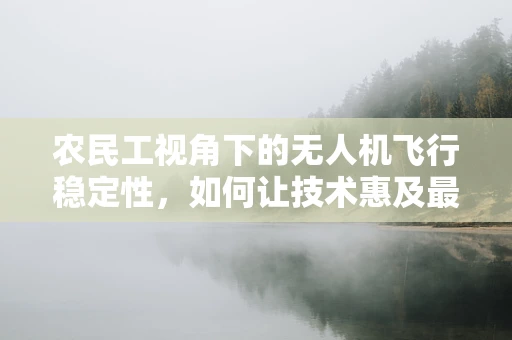 农民工视角下的无人机飞行稳定性，如何让技术惠及最基层？