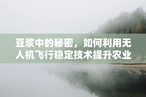 豆浆中的秘密，如何利用无人机飞行稳定技术提升农业监测的精准度？