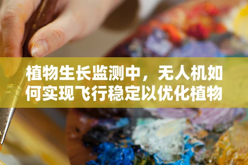 植物生长监测中，无人机如何实现飞行稳定以优化植物生物学研究？