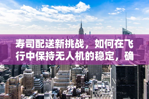 寿司配送新挑战，如何在飞行中保持无人机的稳定，确保寿司美味送达？
