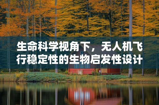 生命科学视角下，无人机飞行稳定性的生物启发性设计策略