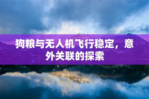 狗粮与无人机飞行稳定，意外关联的探索