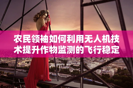 农民领袖如何利用无人机技术提升作物监测的飞行稳定性？
