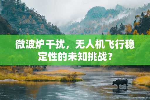 微波炉干扰，无人机飞行稳定性的未知挑战？