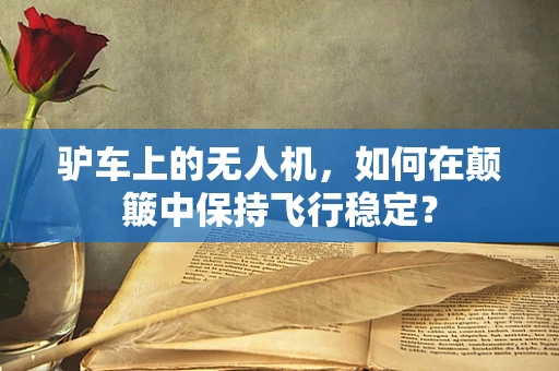 驴车上的无人机，如何在颠簸中保持飞行稳定？