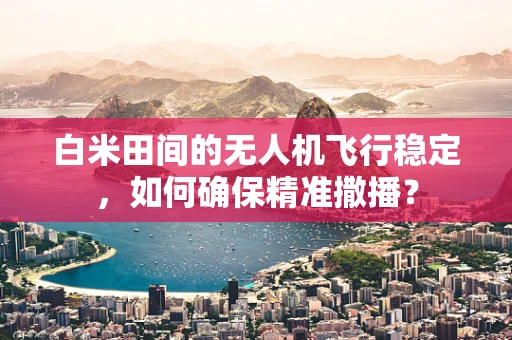 白米田间的无人机飞行稳定，如何确保精准撒播？