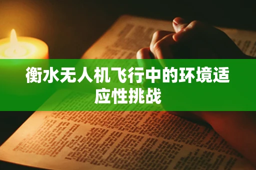 衡水无人机飞行中的环境适应性挑战