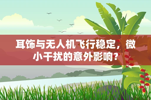 耳饰与无人机飞行稳定，微小干扰的意外影响？