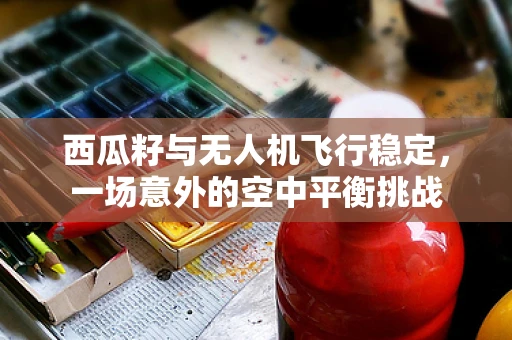 西瓜籽与无人机飞行稳定，一场意外的空中平衡挑战