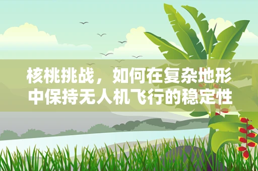 核桃挑战，如何在复杂地形中保持无人机飞行的稳定性？