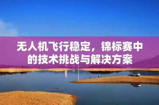 无人机飞行稳定，锦标赛中的技术挑战与解决方案