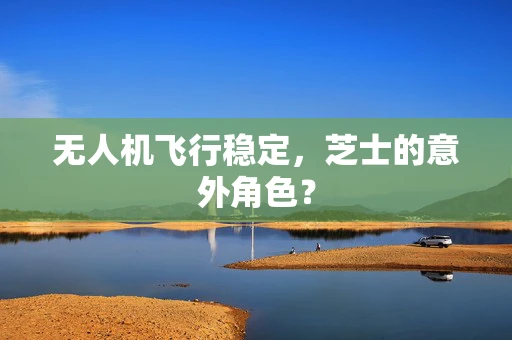 无人机飞行稳定，芝士的意外角色？
