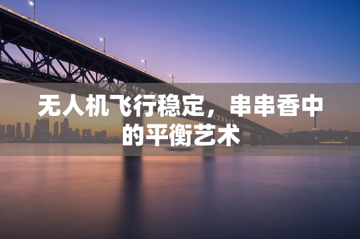 无人机飞行稳定，串串香中的平衡艺术