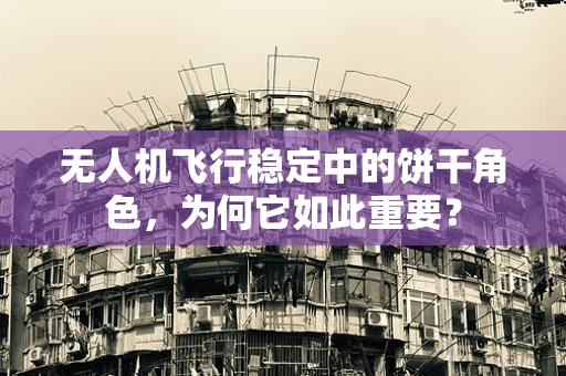 无人机飞行稳定中的饼干角色，为何它如此重要？