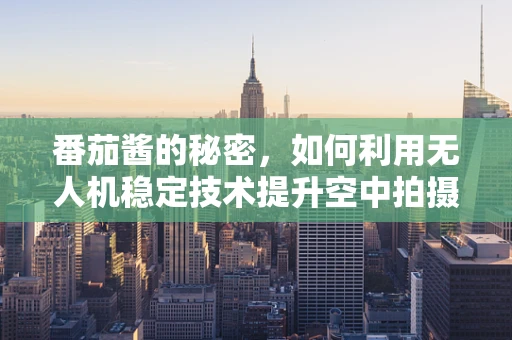 番茄酱的秘密，如何利用无人机稳定技术提升空中拍摄的稳定性？