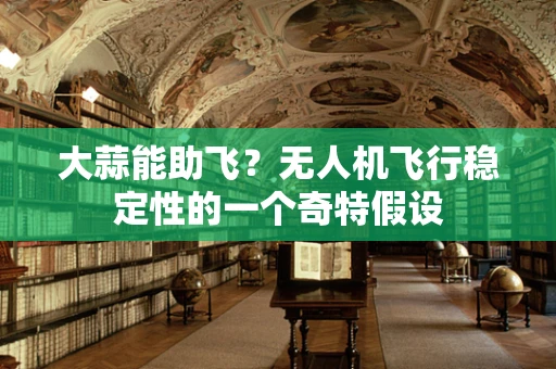大蒜能助飞？无人机飞行稳定性的一个奇特假设