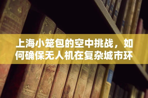 上海小笼包的空中挑战，如何确保无人机在复杂城市环境中稳定飞行？