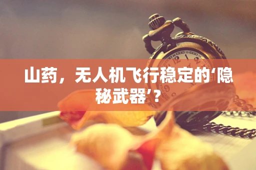 山药，无人机飞行稳定的‘隐秘武器’？