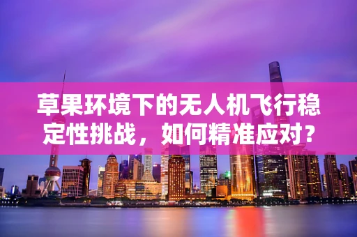 草果环境下的无人机飞行稳定性挑战，如何精准应对？