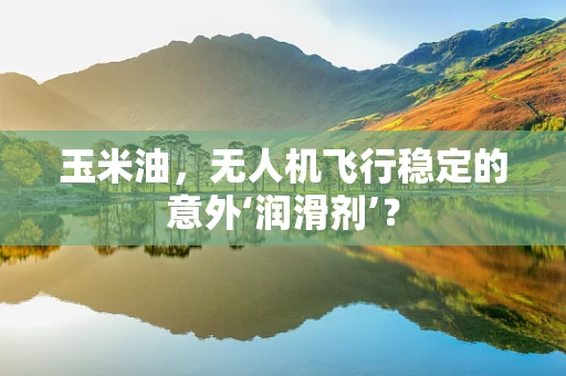 玉米油，无人机飞行稳定的意外‘润滑剂’？