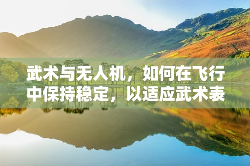 武术与无人机，如何在飞行中保持稳定，以适应武术表演的特殊需求？