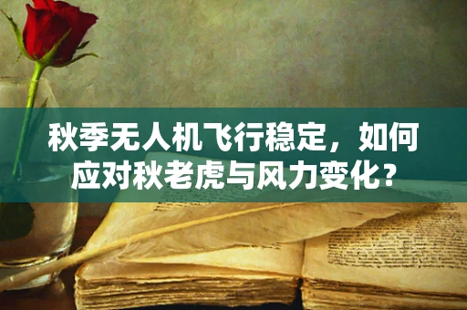 秋季无人机飞行稳定，如何应对秋老虎与风力变化？