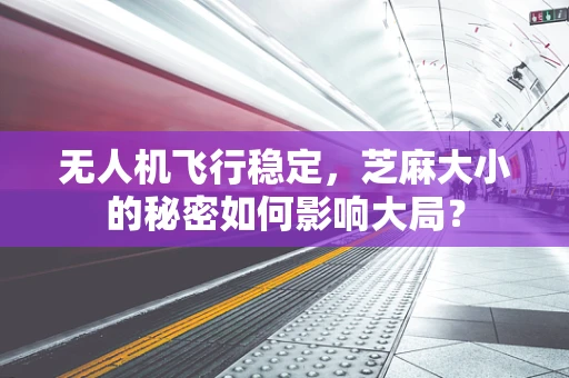 无人机飞行稳定，芝麻大小的秘密如何影响大局？