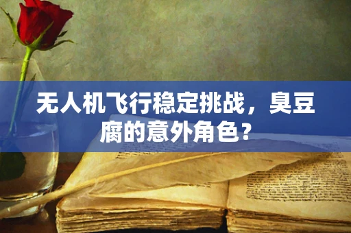 无人机飞行稳定挑战，臭豆腐的意外角色？