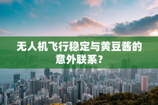 无人机飞行稳定与黄豆酱的意外联系？