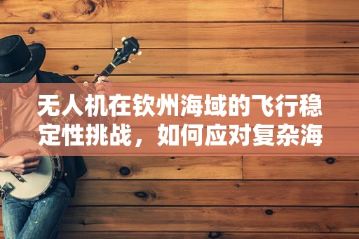 无人机在钦州海域的飞行稳定性挑战，如何应对复杂海风环境？